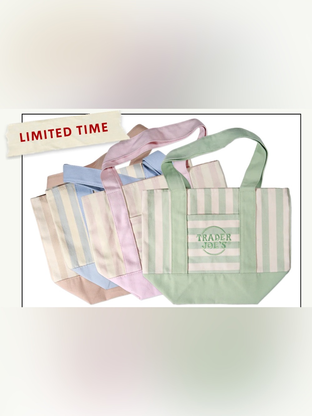 NEW Trader Joe’s Striped Mini Canvas Tote Bag